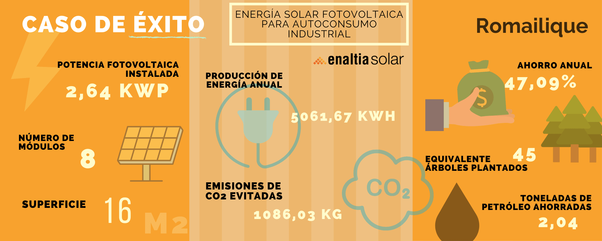 infografia caso de exito instalacion paneles fotovoltaicos autoconsumo industrial romailique