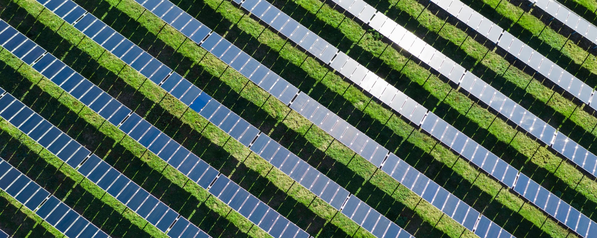 qué son los parques solares